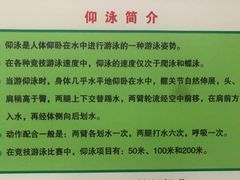 -宏雁游泳馆