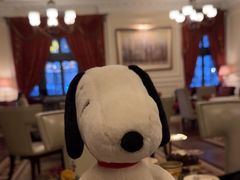 -Salon de Ville浦江汇(上海外滩华尔道夫酒店店)