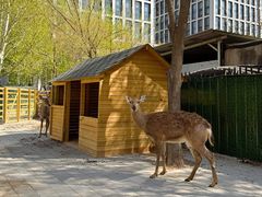 -海德温泉生活馆(朝阳大悦城店)