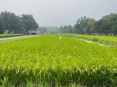 -北坞公园