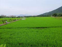 -艾米稻香小镇