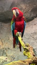 -Zoolung Zoolung动物主题公园(海信广场店)