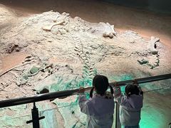 -世界恐龙谷景区