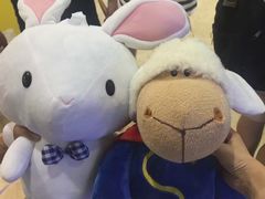 -PAWTOY爪e玩偶店(天兴罗斯福店)