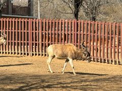 -石家庄市动物园