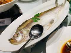 清蒸川白条-张福记(陇海中路店)