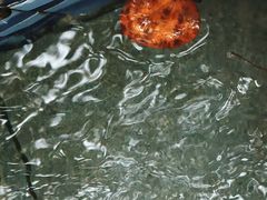 -林丰温泉度假山庄