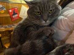 -VIKING SALOON西部美式烟熏烤肉(和平路店)