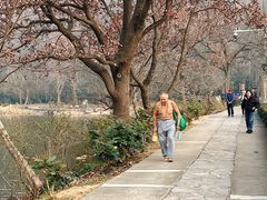 -紫霞湖公园