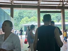 -增城大丰门漂流