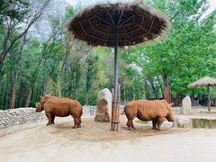 -北京野生动物园