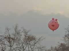 -西湖游船