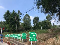 -盈香心动乐园