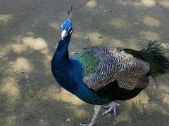 -杭州野生动物世界