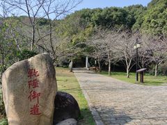 -苏州上方山国家森林公园