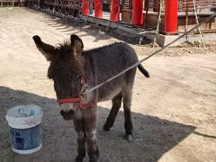 -水高庄园售票处