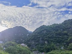 -王顺山国家森林公园