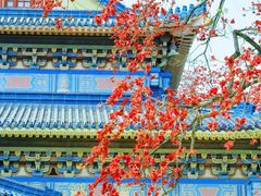 -广州中山纪念堂