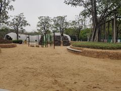 -海珠儿童公园