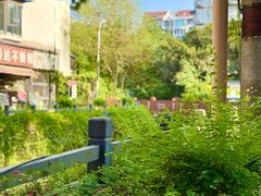 -西南交通大学(九里校区)