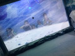 -暹罗海洋世界