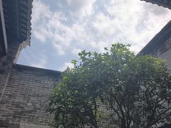 -碧江金楼