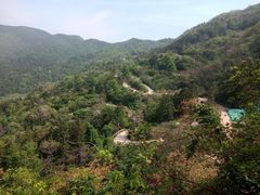 景点-木兰云雾山