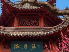 -梅花山(明孝陵内)