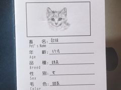 -申普宠物医院·心脏介入·心血管微创(总院)