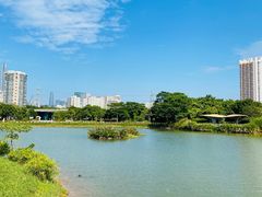 -福田红树林生态公园