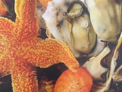 -威海渔村(黄兴路店)