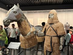 -徐州博物馆