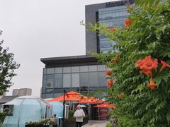 -悦融·京鲁菜·露台花园(安定门店)
