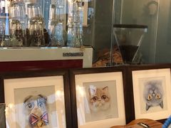 -共舞时光猫咖·狗咖(新街口店)