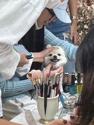 -Touch Nail·品质·美甲美睫
