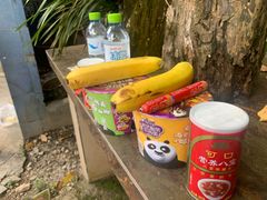 -海南霸王岭国家森林公园