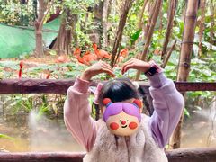 -长鹿旅游休博园