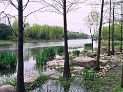 -新江湾城公园