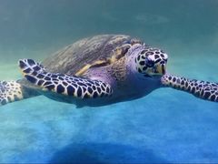 -常州海昌海洋探索馆