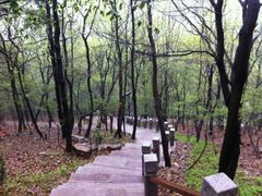 -宝岩生态观光园
