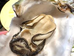 -牛YO寿喜烧和牛火锅自助(三台子万象汇店)