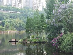 -重庆彩云湖湿地公园