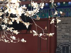 -万寿八仙宫