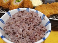 -胜博殿日式炸猪排(西红门店)