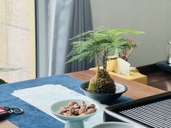 -绿雪芽白茶(浙大华家池校区凯旋路店)