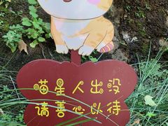 -终南山南五台景区