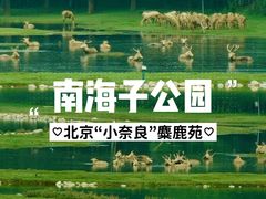 -南海子公园