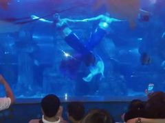 -石家庄极地海洋世界