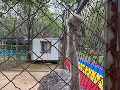 -草根堂农场