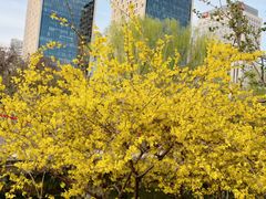 -元大都城垣遗址公园